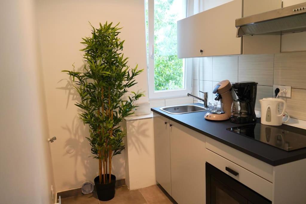 Rm-1 - Appartement F2 Au 1Er Etage Pour 1-3 Pers Мюлуз Экстерьер фото